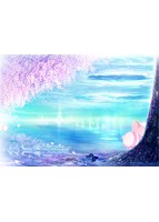 D.C.4 Plus Harmony.jpg