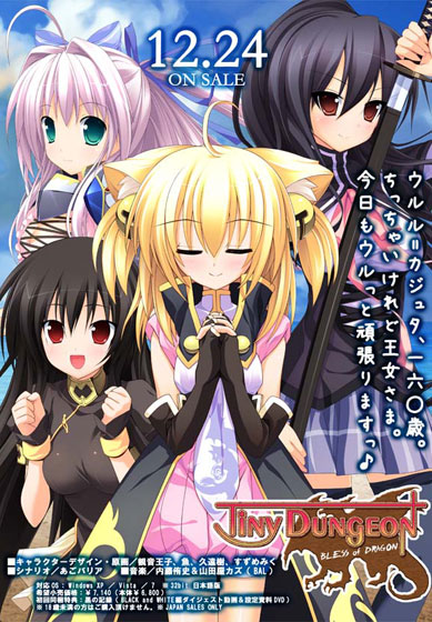 Tiny Dungeon～BLESS of DRAGON～.jpg