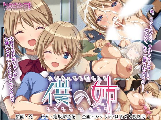 いじめっ子に犯される僕の姉.jpg