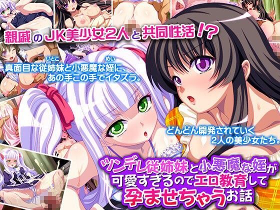 ツンデレ従姉妹と小悪魔な姪が可愛すぎるので、エロ教育して孕ませちゃうお話.jpg