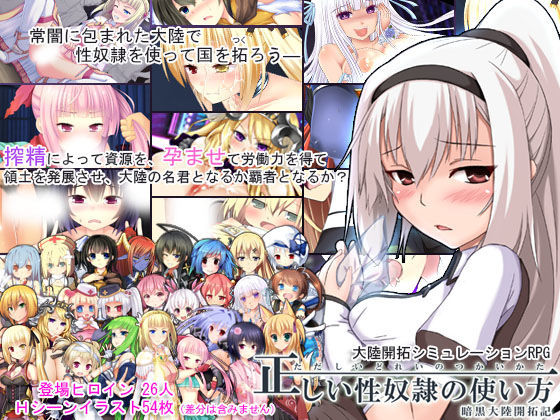 正しい性奴隷の使い方-暗黒大陸開拓記-.jpg